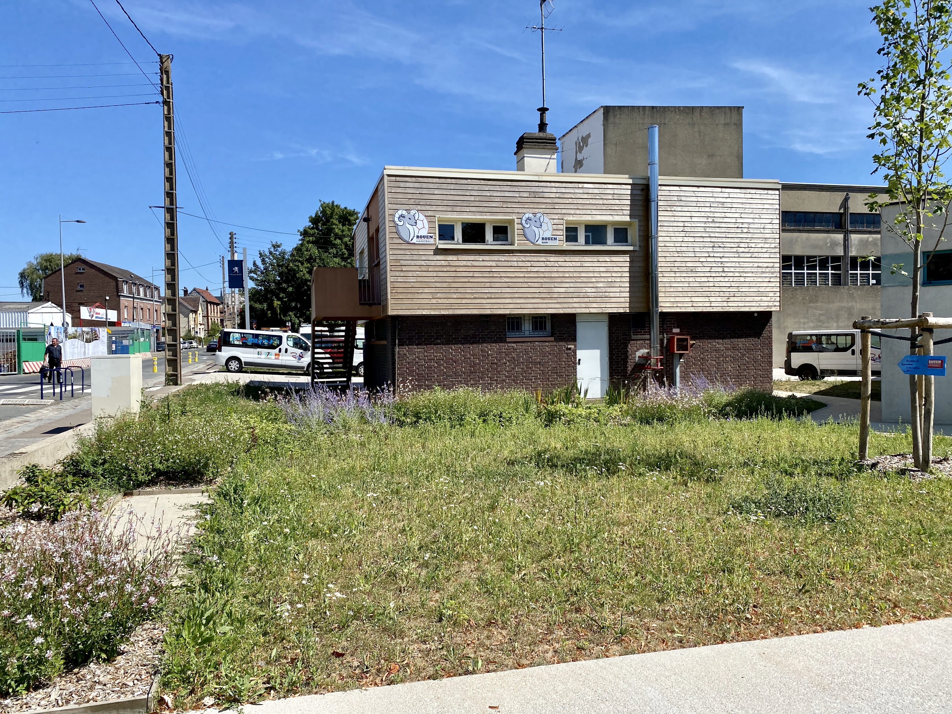 Odoo • Image et Texte