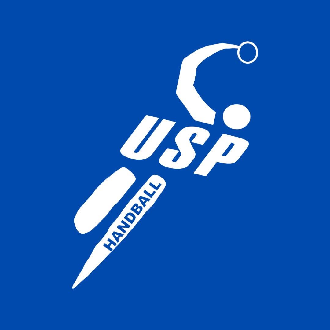 US Palaiseau logo